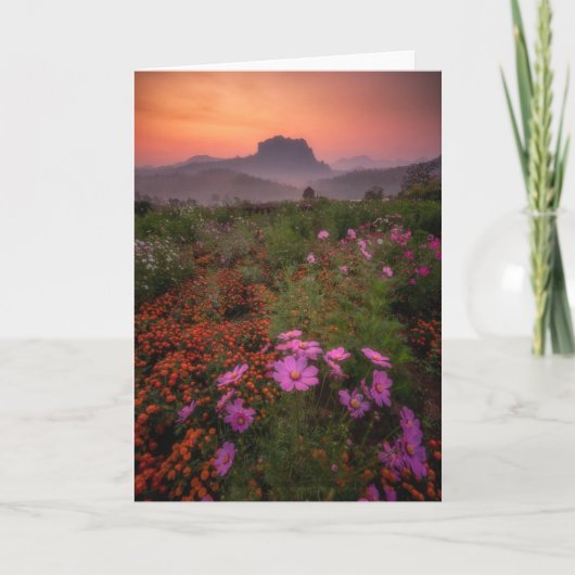 花 Chiang Dao, Chiang Mai,タイ カード (正面)