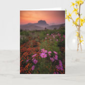 花 Chiang Dao, Chiang Mai,タイ カード (黄色い花)