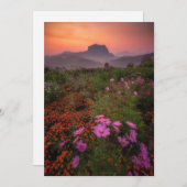 花 Chiang Dao, Chiang Mai，タイ サンキューカード (正面/裏面)