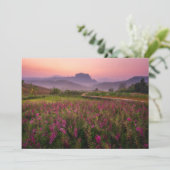 花 Chiang Dao, Chiang Mai，タイ サンキューカード (スタンド正面)