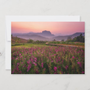 花 Chiang Dao, Chiang Mai，タイ サンキューカード