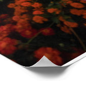 花 Chiang Dao, Chiang Mai，タイ ポスター (角)