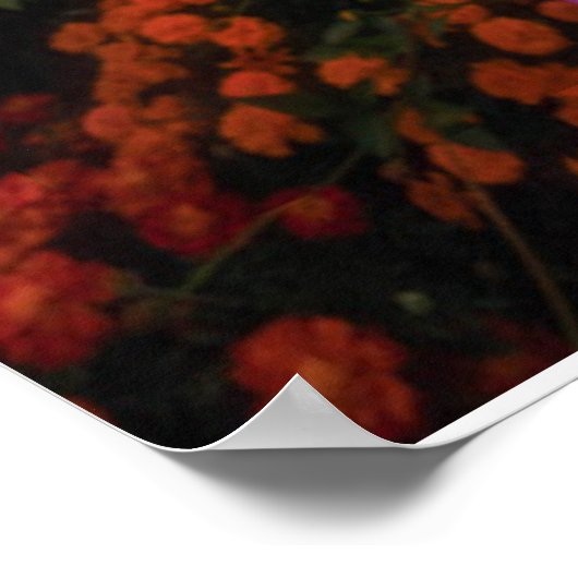 花 Chiang Dao, Chiang Mai,タイ ポスター (角)