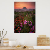 花 Chiang Dao, Chiang Mai，タイ ポスター (キッチン)