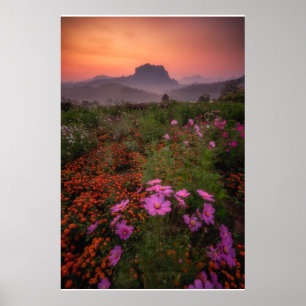 花 Chiang Dao, Chiang Mai,タイ ポスター