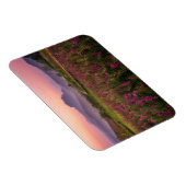 花 Chiang Dao, Chiang Mai，タイ マグネット (右側)