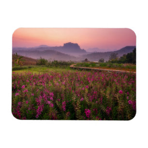花 Chiang Dao, Chiang Mai,タイ マグネット