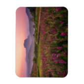 花 Chiang Dao, Chiang Mai，タイ マグネット (縦)