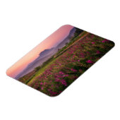 花 Chiang Dao, Chiang Mai，タイ マグネット (左側)