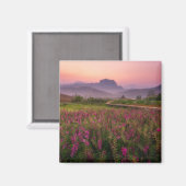 花 Chiang Dao, Chiang Mai，タイ マグネット (正面/裏面)