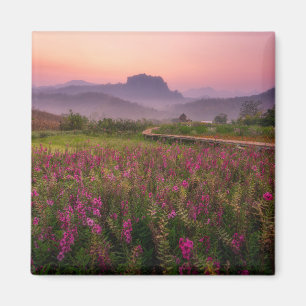 花 Chiang Dao, Chiang Mai,タイ マグネット