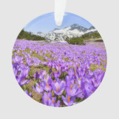 花 | Crocus Pirin Mountain Park Bulgia オーナメント (正面)