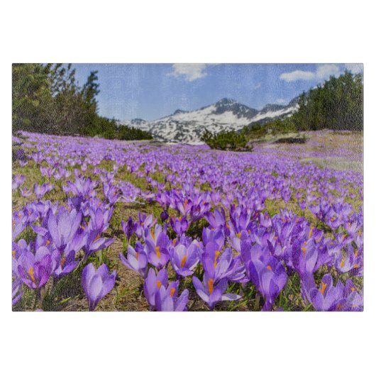 花 | Crocus Pirin Mountain Park Bulgia カッティングボード (正面)