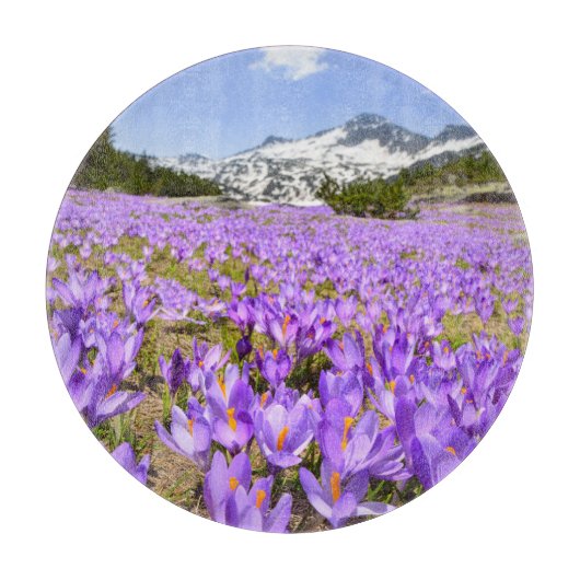 花 | Crocus Pirin Mountain Park Bulgia カッティングボード (正面)