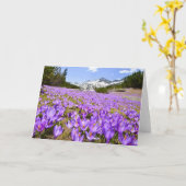 花 | Crocus Pirin Mountain Park Bulgia カード (黄色い花)
