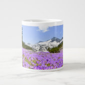 花 | Crocus Pirin Mountain Park Bulgia ジャンボコーヒーマグカップ (正面)