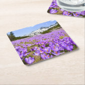 花 | Crocus Pirin Mountain Park Bulgia スクエアペーパーコースター (アングル)
