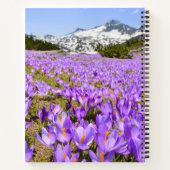 花 | Crocus Pirin Mountain Park Bulgia ノートブック (裏面)