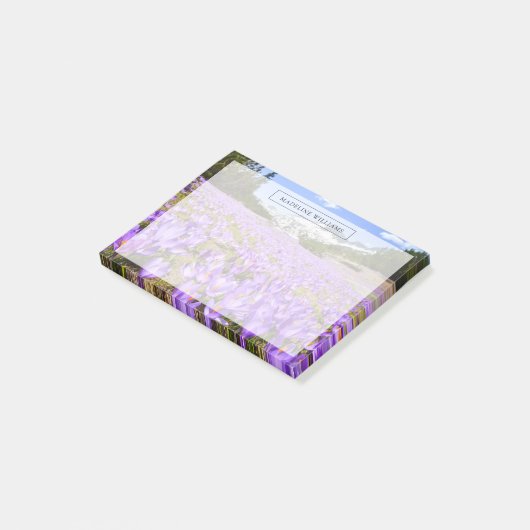 花 | Crocus Pirin Mountain Park Bulgia ポストイット (アングル)