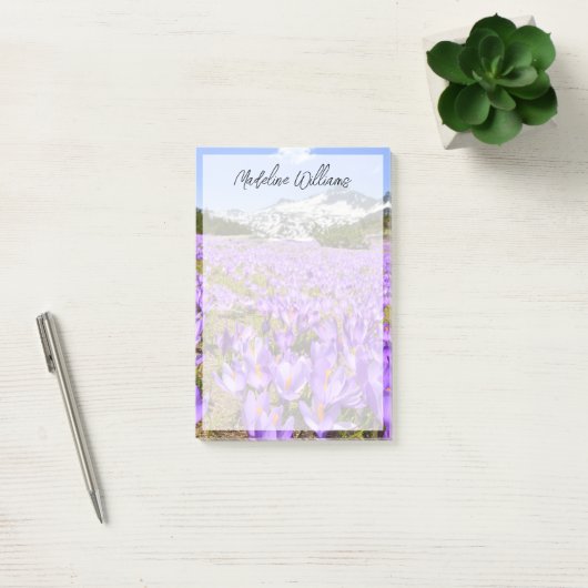 花 | Crocus Pirin Mountain Park Bulgia ポストイット (オフィス)