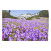 花 | Crocus Pirin Mountain Park Bulgia 枕カバー (裏面)