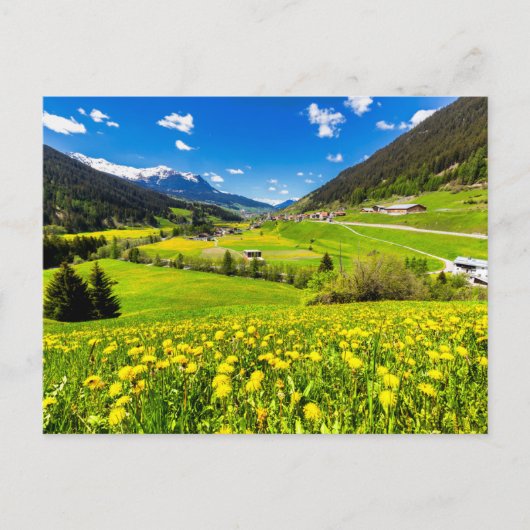 花 | Dandelion Canton of Grisons，スイス ポストカード (正面)