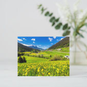 花 | Dandelion Canton of Grisons，スイス ポストカード (スタンド正面)