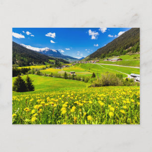 花 Dandelion Canton of Grisons,スイス ポストカード
