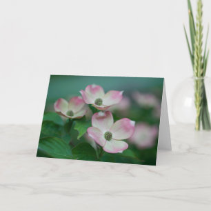 花 Dogwoodの花 カード