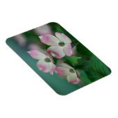 花 | Dogwoodの花 マグネット (右側)