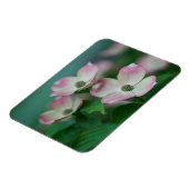 花 | Dogwoodの花 マグネット (左側)
