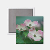花 | Dogwoodの花 マグネット (正面/裏面)