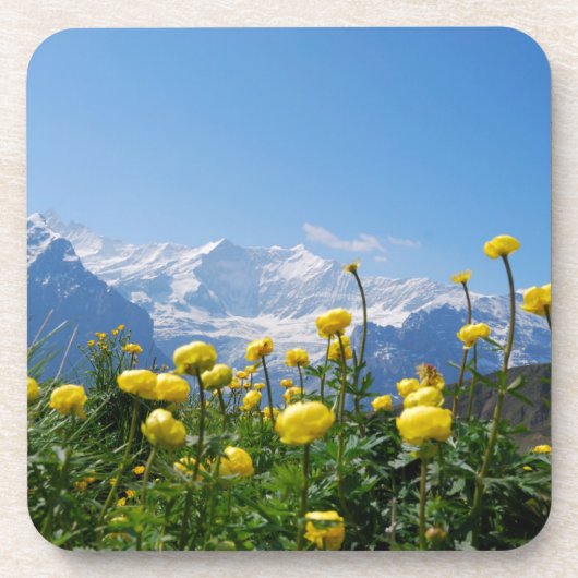 花 | Eiger Monch Swiss Alps コースター (正面)
