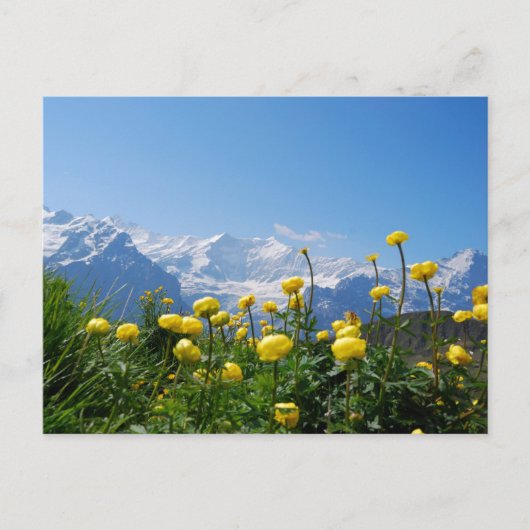 花 | Eiger Monch Swiss Alps ポストカード (正面)