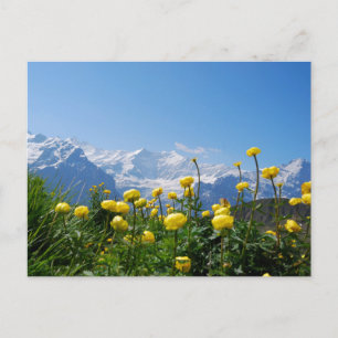 花 Eiger Monch Swiss Alps ポストカード
