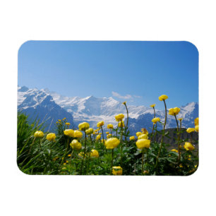 花   Eiger Monch Swiss Alps マグネット