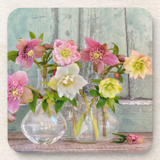 花 | Hellebores in Vases コースター (正面)