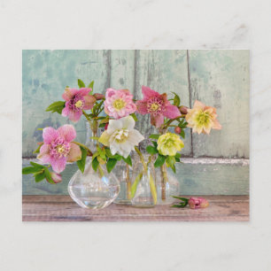 花 Hellebores in Vases ポストカード