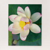 花 | Lotus Water Flower ジグソーパズル (縦)