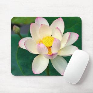 花 Lotus Water Flower マウスパッド
