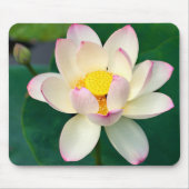 花 | Lotus Water Flower マウスパッド (正面)