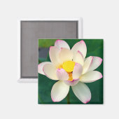 花 | Lotus Water Flower マグネット (正面/裏面)