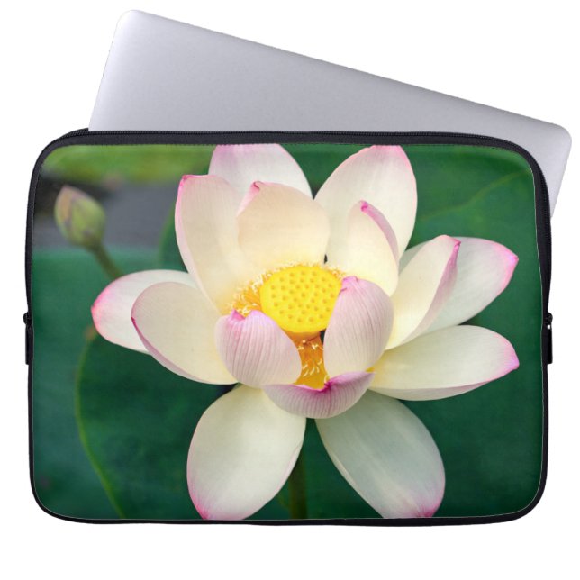 花 | Lotus Water Flower ラップトップスリーブ (正面)
