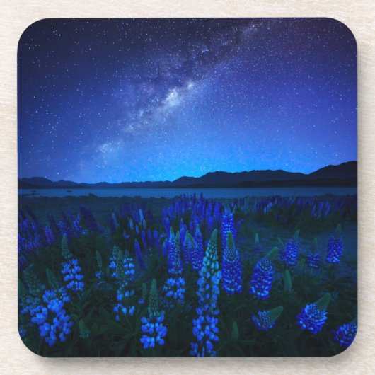 花 | Lupines Blooming at Night Lake Tekapo コースター (正面)