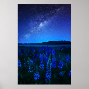 花 Lupines Blooming at Night Lake Tekapo ポスター