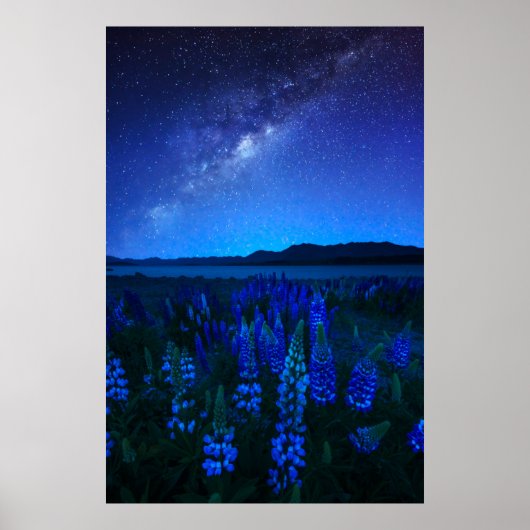 花 | Lupines Blooming at Night Lake Tekapo ポスター (正面)