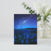 花 | Lupines Blooming at Night Lake Tekapo ポストカード (スタンド正面)