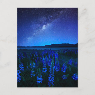 花 Lupines Blooming at Night Lake Tekapo ポストカード