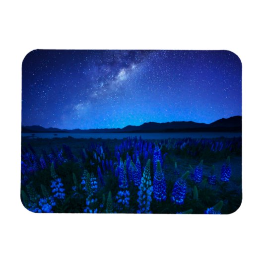 花 | Lupines Blooming at Night Lake Tekapo マグネット (横)
