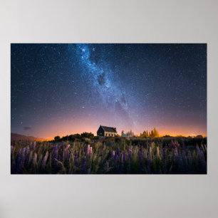 花 Lupines Blooming Lake Tekapo New Zealand ポスター